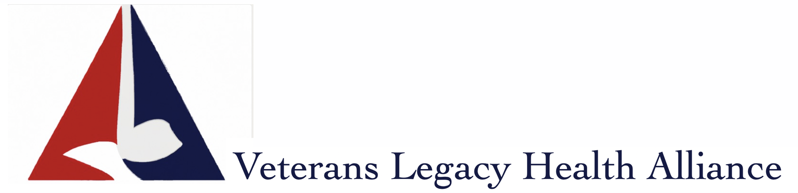 21st Century 501c19 Veterans Nonprofit Logo