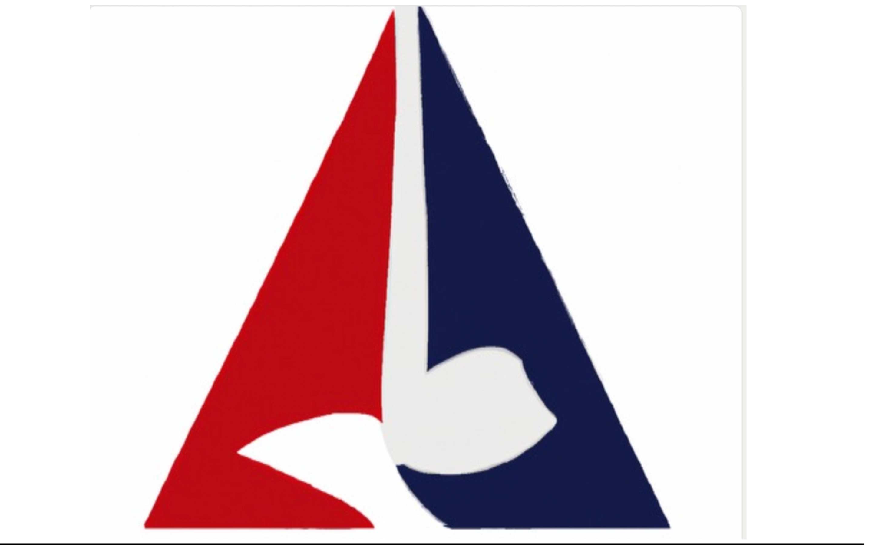 21st Century 501c19 Veterans Nonprofit Logo